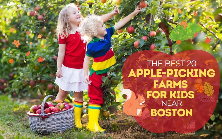 The Best 20 Apple-Picking Farms for Kids near Boston - Boston